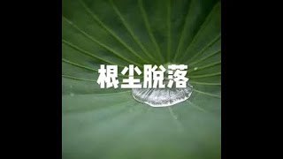 201603 根尘脱落25047