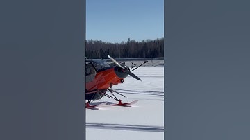 Super cub landing at the cabin. #aviation #flying #pilot #plane #planelanding #supercub