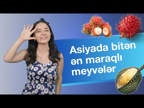 Video: Ruh Katolikinin meyvələri hansılardır?