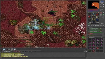 Insectoide Outfits full  - War Against The Hive Quest.