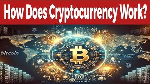 Crypto 101: The Ultimate Beginner