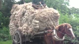 Jute Plantation to Jute Bag