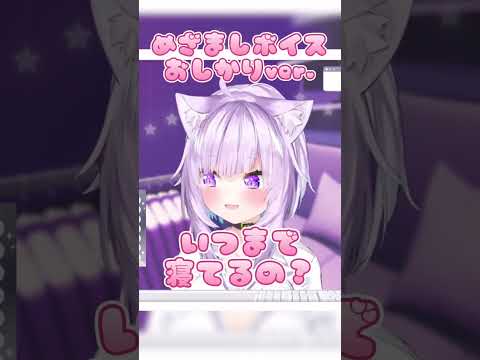 癒される これなら起きれる 可愛すぎるおかゆんの目覚ましボイスはこちら Shorts 猫又おかゆ ホロライブ切り抜き