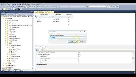 How set Primary Key and auto Increment in SQL Server Database Tables Part 7