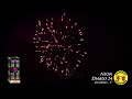 video-img