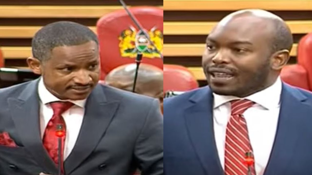 'Shut up as I pump knowledge into your empty mind,' MP Babu Owino clashes with MP Kagombe!!
