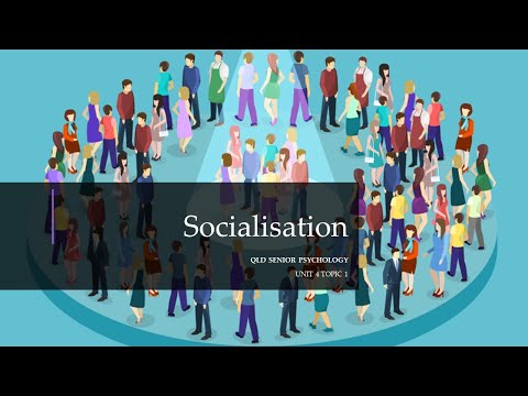 Video: Vigtigheden af tidlig socialisering i hvalpe
