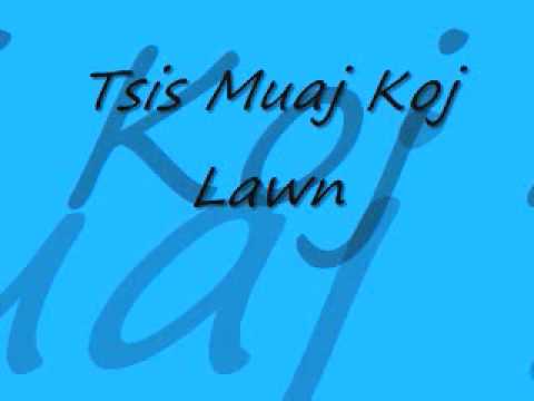 Tee Vang - Tsis Muaj Koj Lawm