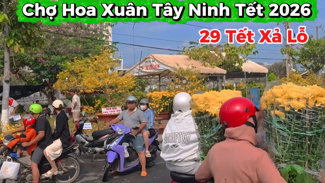 Chợ Hoa Xuân Tây Ninh 29 Tết 2026 Và Tổng Hợp Những Ngôi Chợ Ngày 29 Tết Đông Nghẹt Cứng Người
