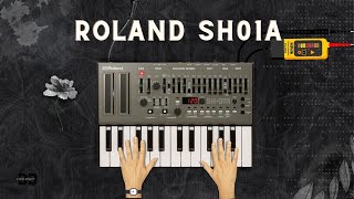 Roland Boutique SH01A in action