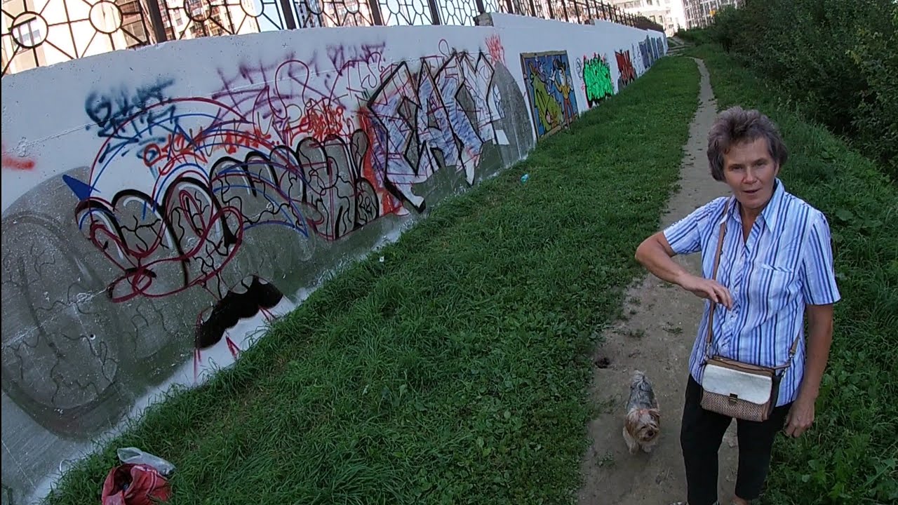 Граффити РАССЛЕДОВАНИЕ в Мурино! Стена под АРТ охраной. Sonic X / BRADO.