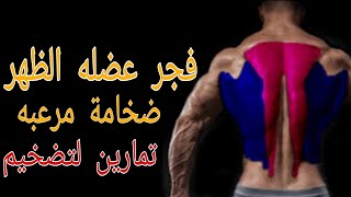 أقوى 5 تمارين الظهر وتعريض  back workout