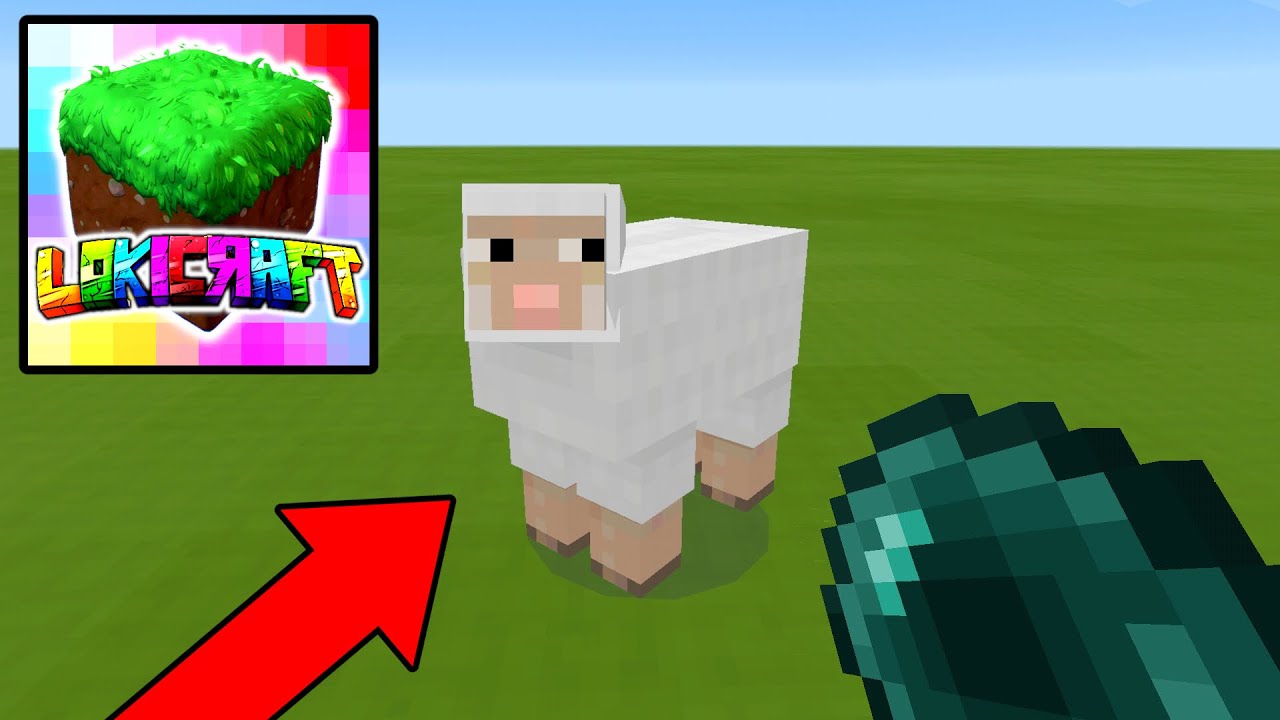 What Is Inside SHEEP in Lokicraft