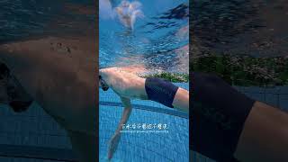 TOSWIM brand - Dark Blue Particle Men's Swim Trunks.
