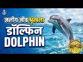 डॉल्फिन नाम कैसे देती हैं? अनोखी सीटी का secret (3 बातें)🌊 (Dolphin Facts)