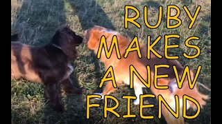 Ruby makes a new friend | Ruby (Sofia the Supermomma) from Takis Shelter