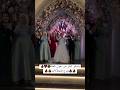 ياساتر استر من دخول الحته Wedding Weddingvideo Egypt افراح Weddingphotography افرح