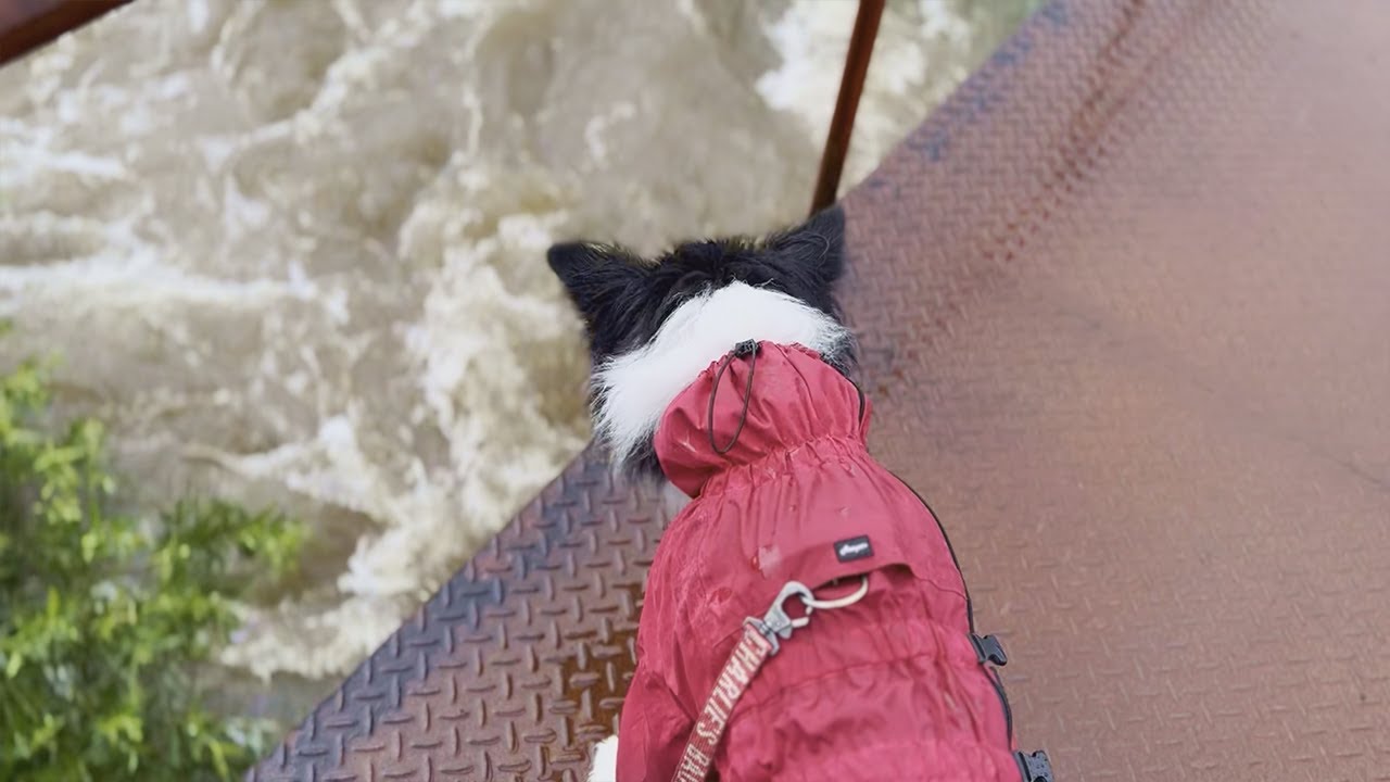 お盆の日に何気ない日常を撮っていたら恐怖の出来事が起こりました…
