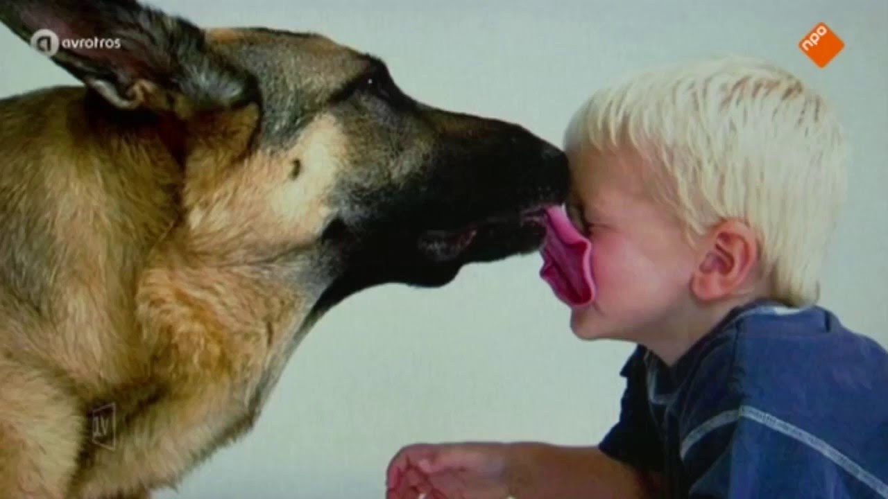 Dierenartsen bezorgd over rauw vlees voor huisdieren