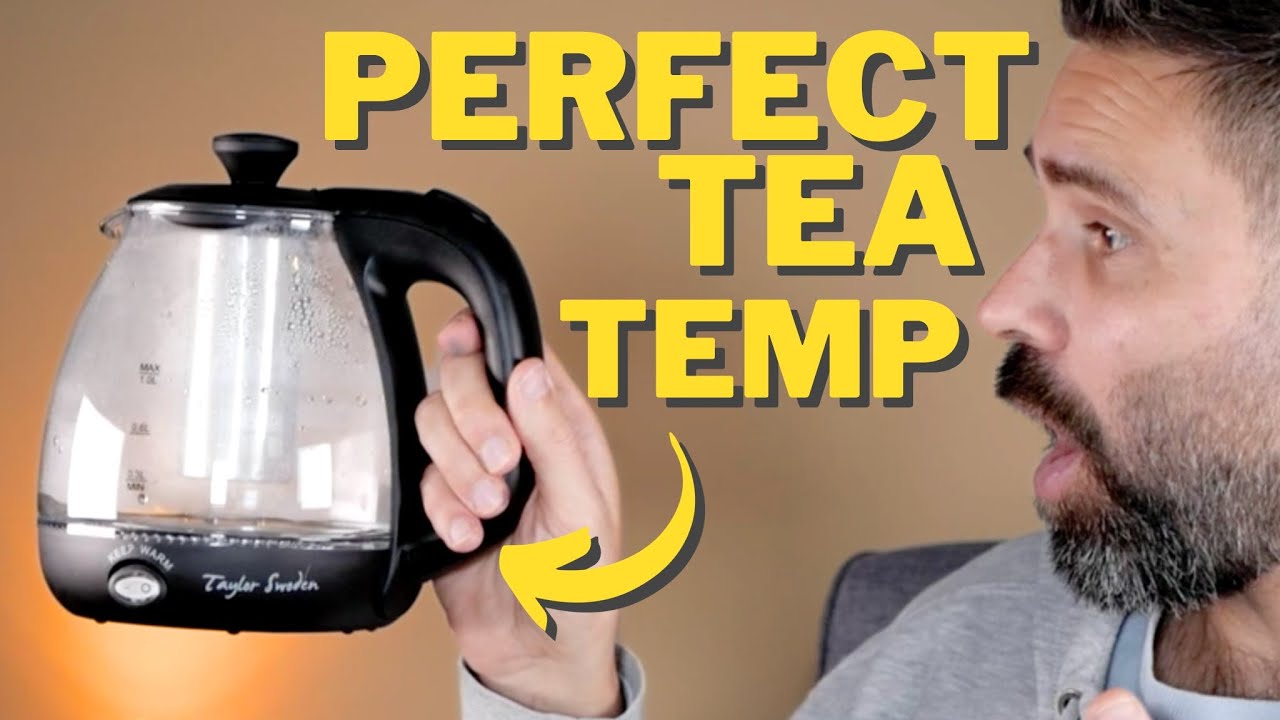 Taylor Swoden Electric Kettle with Tea Infuser Review 