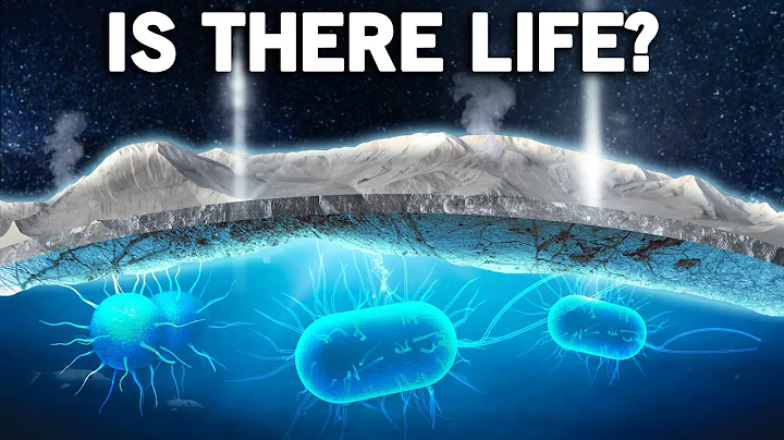 NASA Finds Signs of Life on Jupiter's Moon