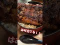 【岐阜グルメ】岐阜県の人気ひつまぶしを爆食!