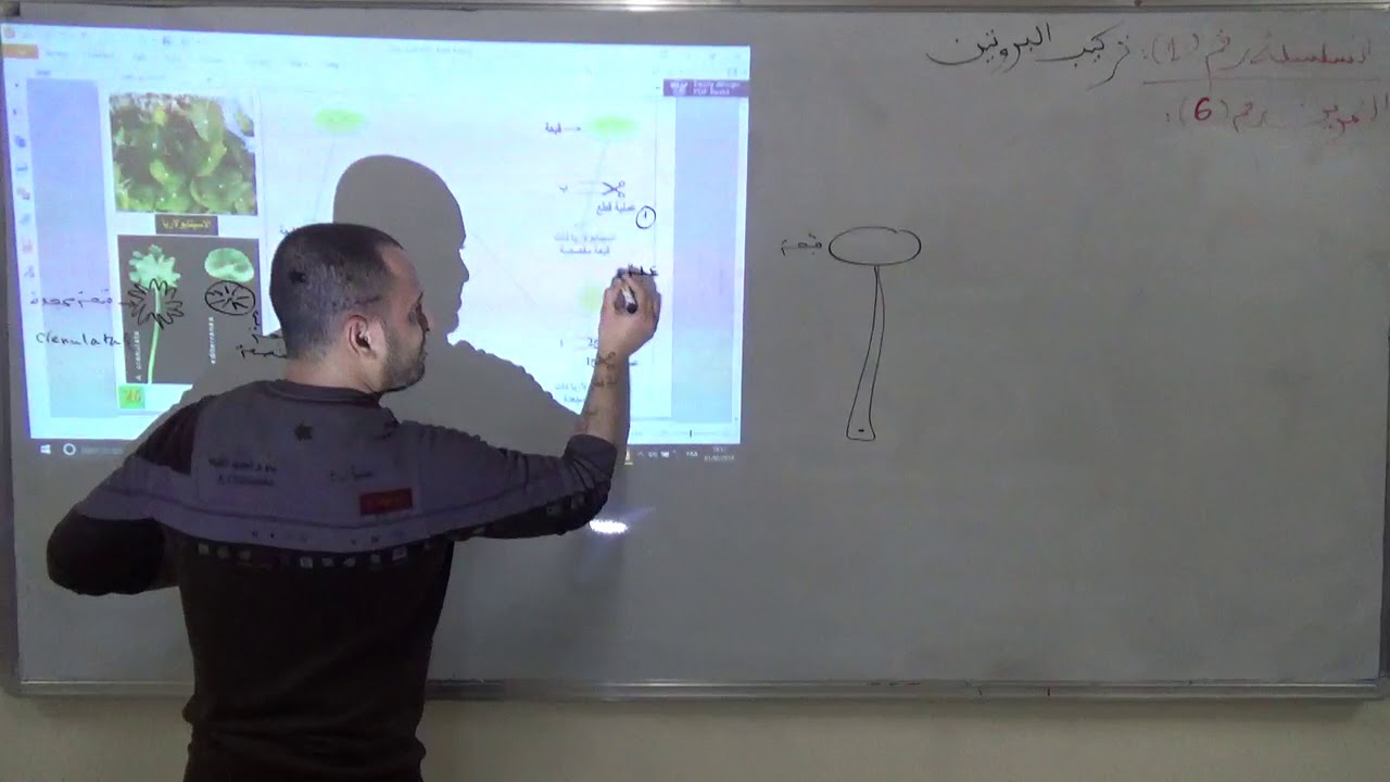 تمارين الوحدة الاولى من مجال الاول  تمرين رقم 6