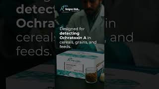 Mycotoxin Testing in Grains Using IAC | Grain Safety Testing - ScignoHub #foodsafetytesting #grain