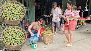 The trip to sell plums and cucumbers is full of fun and daily work on the farm girl