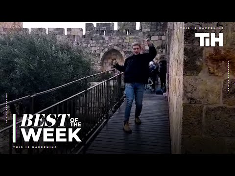 Best of the Week: NOVEMBER - Week 3