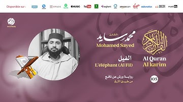 Mohamed Sayed - Surat Al Fil - سورة الفيل | تلاوة بصوت القارئ محمد سايد | برواية ورش عن نافع