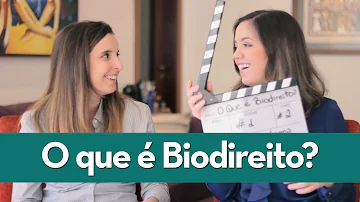 Quais são os princípios do Biodireito?