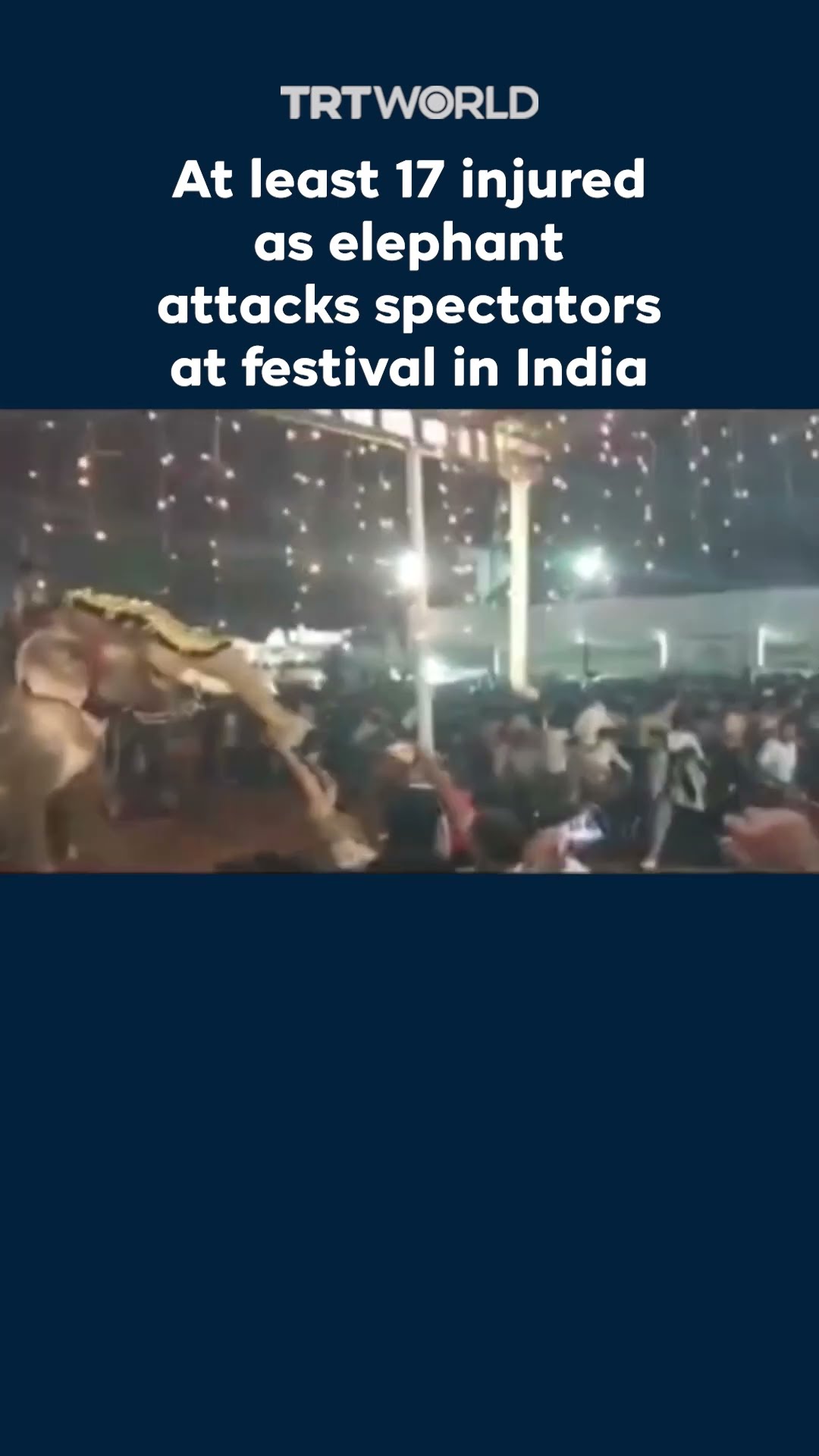 At least 17 injured as elephant attacks spectators at festival in India