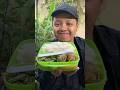 Bekal ikan bumbu kuning pedas dan sayur kangkung cek #masakan #masakanrumahan #masakanindonesia