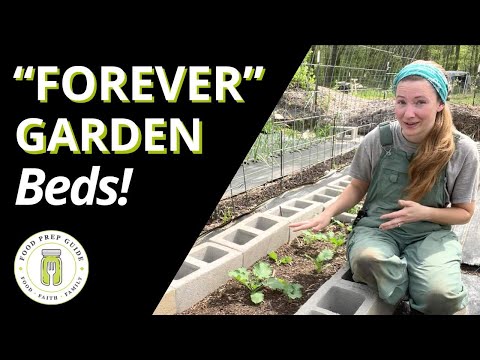 Cinder Block Raised Beds: Myths, How Tos & Tips