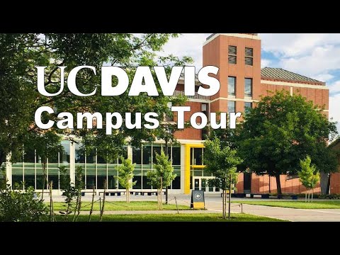 Video: UC Davis professorlari qancha ishlaydi?