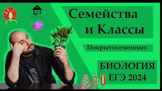 СЕМЕЙСТВА И КЛАССЫ Покрытосеменных для ЕГЭ 2024 |ЕГЭ БИОЛОГИЯ|Freedom|