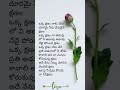 Love status #love_whatsapp_status #love