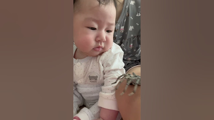 거미 한손으로 제압하는 아기 #귀염둥이 #아기 #거미