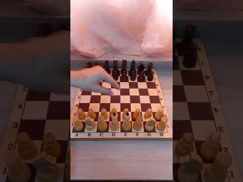 Самая простая шахматная ловушка! Отличный мат в дебюте! #шахматырулят