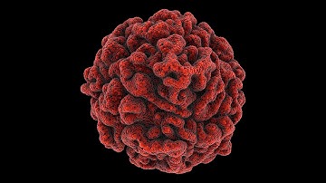 Max Cooper - Seething - Official Video by Andy Lomas