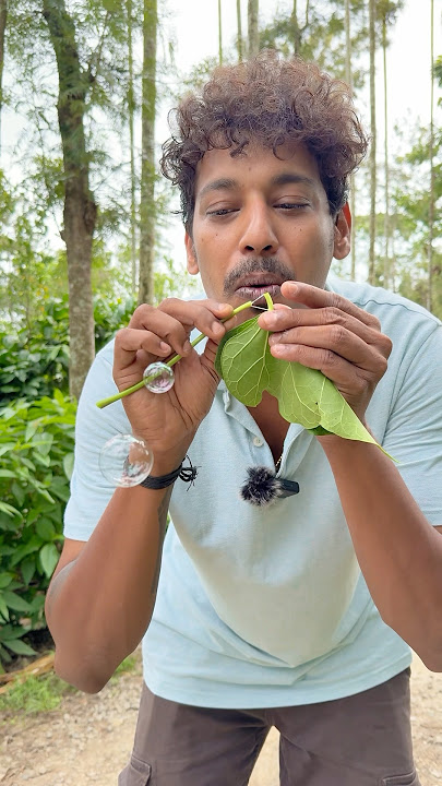 Did you know about this magical plant? #nature #magicalplant #naturebeauty