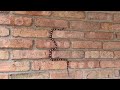 Videos Increíbles 6 / Víbora trepa un Muro de Ladrillos