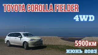 Перегон TOYOTA COROLLA FIELDER 4WD 2017 года V1.5