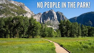 Yosemite national park has been closed for the last 10 weeks due to
california state shutdowns from pandemic. they began reopening on june
11th by allowi...