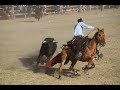 Toros Sangolqui 2018 | Ganadería "San Pablo"