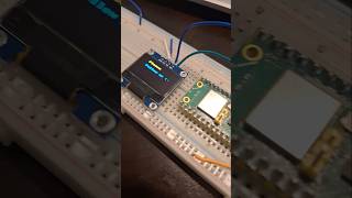 Lcd1306 Display | raspberry pi pico w #computerscience #programming #raspberrypi