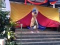 Kabaret Sunda XII RPL 1 Bogoh Kabongohan SMKN SITURAJA