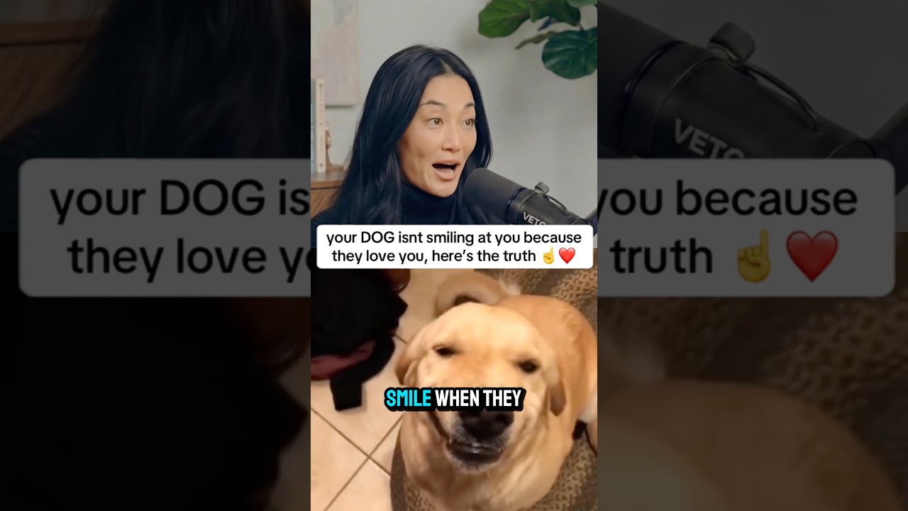 Your dog isnt smiling because thet love u….. The real reason is shocking 