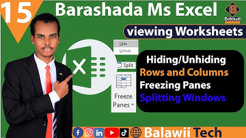 15.Ms Excel - Viewing worksheet || sida loo qariyo loona soo muujiyo Rows ka iyo column ka @Balawii